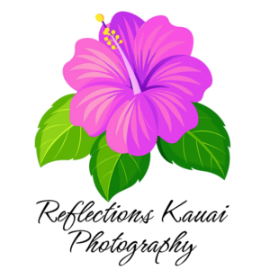 Illustration of a pink hibiscus flower with green leaves above the text "Reflections Kauai Photography.