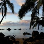 Palm trees and rocks frame a calm beach shoreline at sunset with clouds and blue sky reflected in the water.